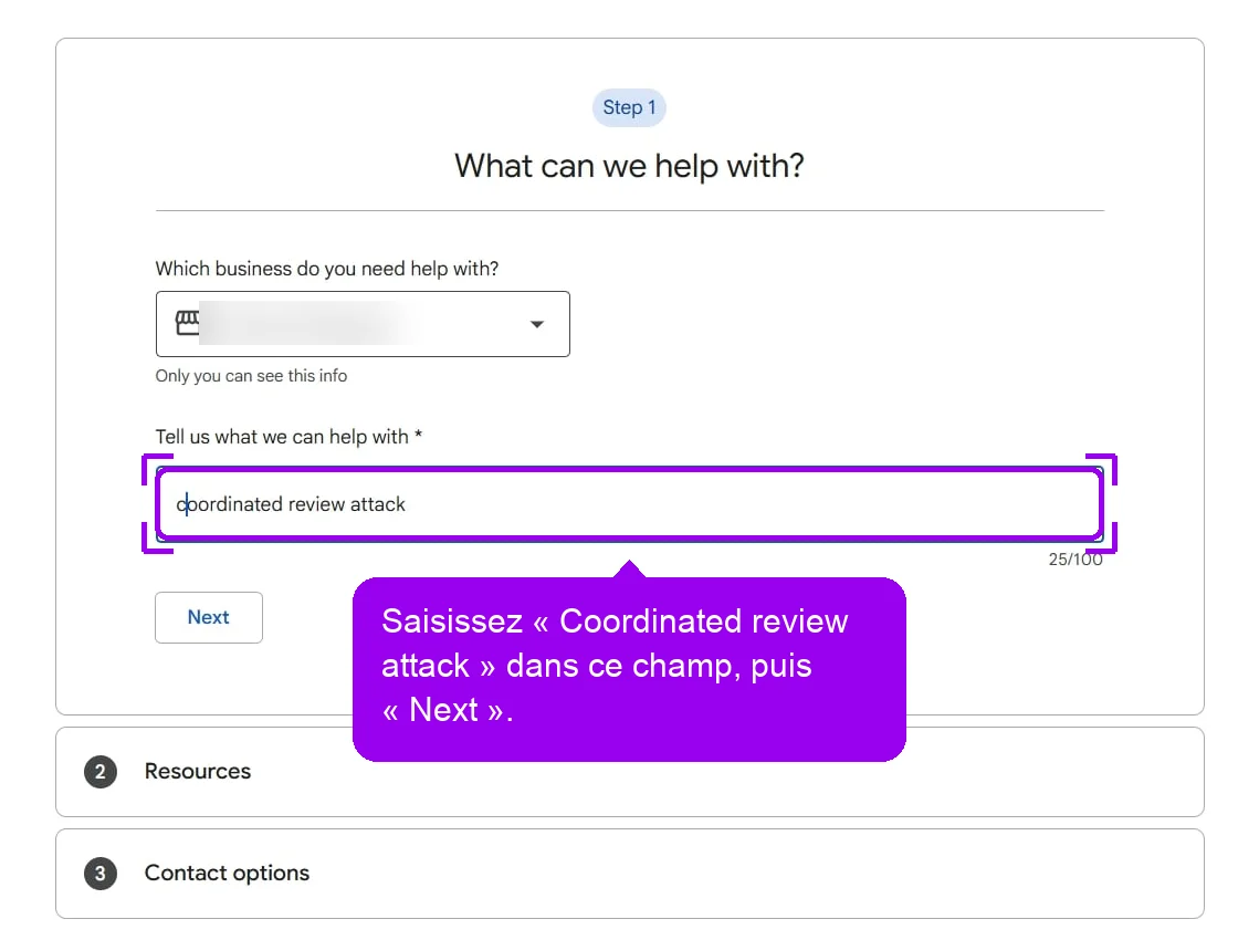 Formulaire d'aide Google (en anglais), champ de demande rempli avec Coordinated review attack